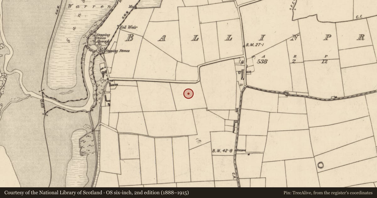 Ordnance Survey six-inch map, 2nd edition (1888–1915) covering the location of Field system, Ballinprior, County Kerry, with a pin at the register's coordinates