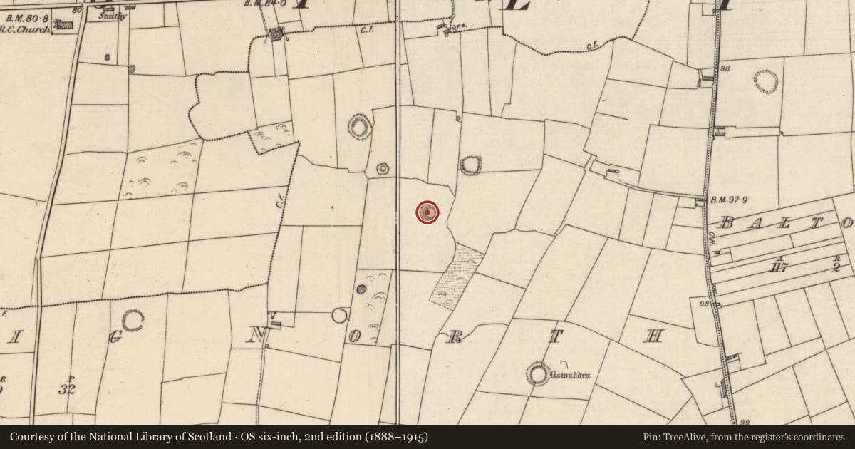Ordnance Survey six-inch map, 2nd edition (1888–1915) covering the location of Ringfort - rath, Lerrig North, County Kerry, with a pin at the register's coordinates