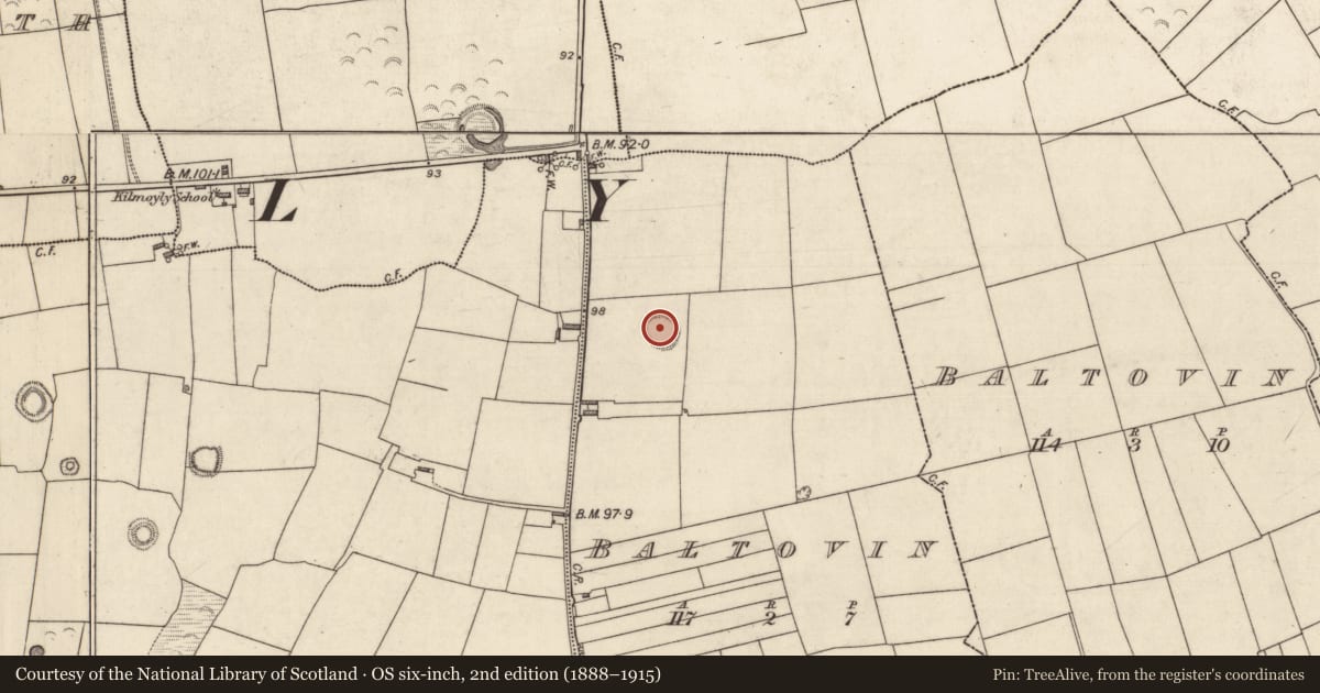 Ordnance Survey six-inch map, 2nd edition (1888–1915) covering the location of Ringfort - rath, Baltovin, County Kerry, with a pin at the register's coordinates