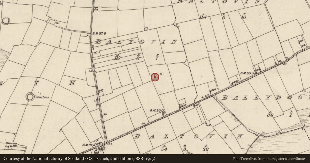 Ordnance Survey six-inch map, 2nd edition (1888–1915) covering the location of Ringfort - rath, Baltovin, County Kerry, with a pin at the register's coordinates