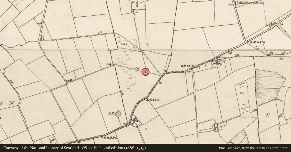 Ordnance Survey six-inch map, 2nd edition (1888–1915) covering the location of Enclosure, Ballymacaquim West, County Kerry, with a pin at the register's coordinates