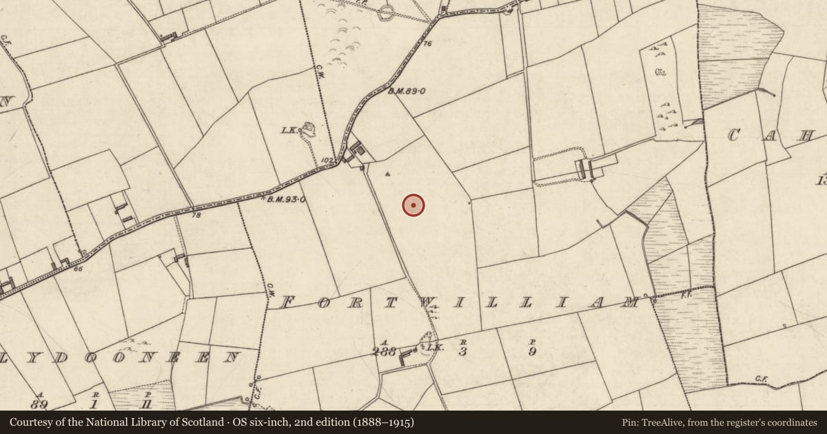 Ordnance Survey six-inch map, 2nd edition (1888–1915) covering the location of Souterrain, Fortwilliam, County Kerry, with a pin at the register's coordinates