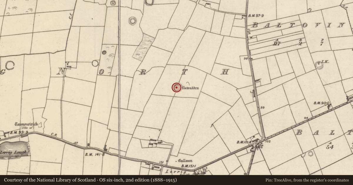 Ordnance Survey six-inch map, 2nd edition (1888–1915) covering the location of Ringfort - rath, Lerrig North, County Kerry, with a pin at the register's coordinates