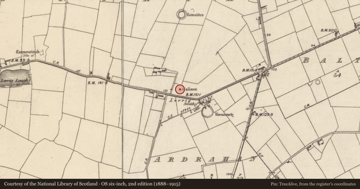 Ordnance Survey six-inch map, 2nd edition (1888–1915) covering the location of Standing stone, Lerrig North, County Kerry, with a pin at the register's coordinates