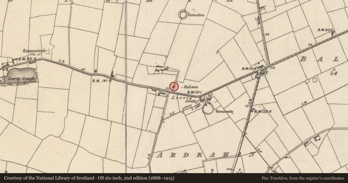 Ordnance Survey six-inch map, 2nd edition (1888–1915) covering the location of Standing stone (present location), Lerrig North, County Kerry, with a pin at the register's coordinates