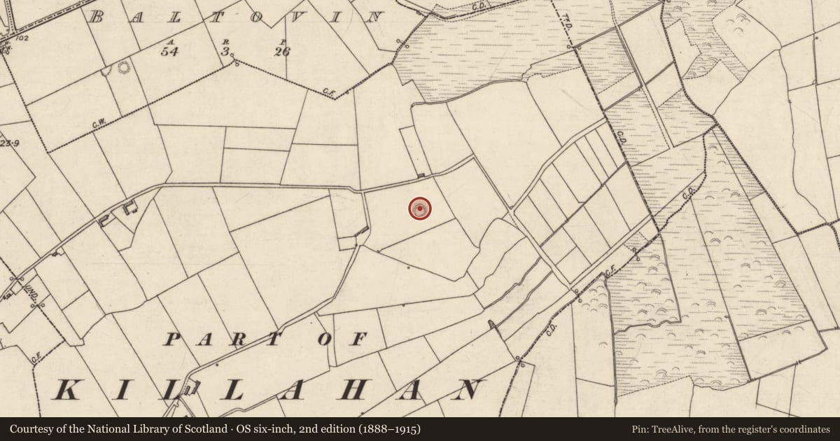 Ordnance Survey six-inch map, 2nd edition (1888–1915) covering the location of Ringfort - rath, Ardrahan (Clanmaurice By., Killahan Par.), County Kerry, with a pin at the register's coordinates