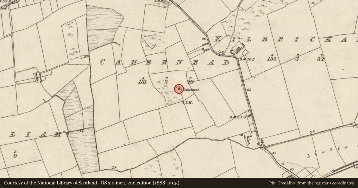 Ordnance Survey six-inch map, 2nd edition (1888–1915) covering the location of Souterrain, Cahernead, County Kerry, with a pin at the register's coordinates