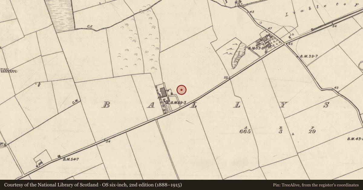 Ordnance Survey six-inch map, 2nd edition (1888–1915) covering the location of Souterrain, Ballysheen, County Kerry, with a pin at the register's coordinates