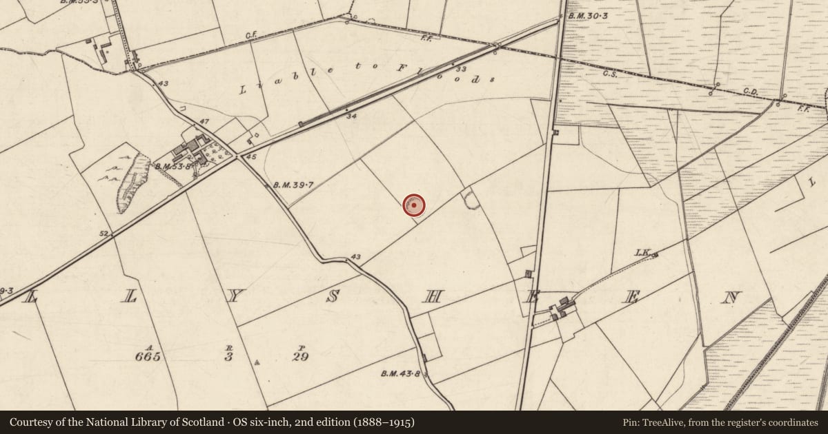 Ordnance Survey six-inch map, 2nd edition (1888–1915) covering the location of Enclosure, Ballysheen, County Kerry, with a pin at the register's coordinates