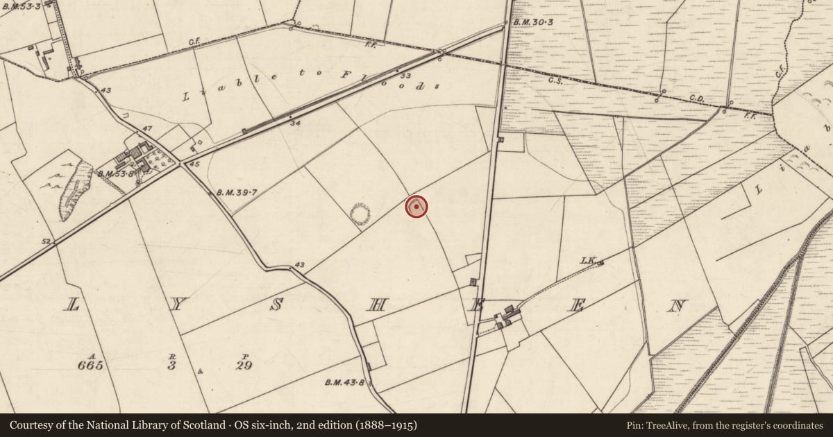 Ordnance Survey six-inch map, 2nd edition (1888–1915) covering the location of Enclosure, Ballysheen, County Kerry, with a pin at the register's coordinates