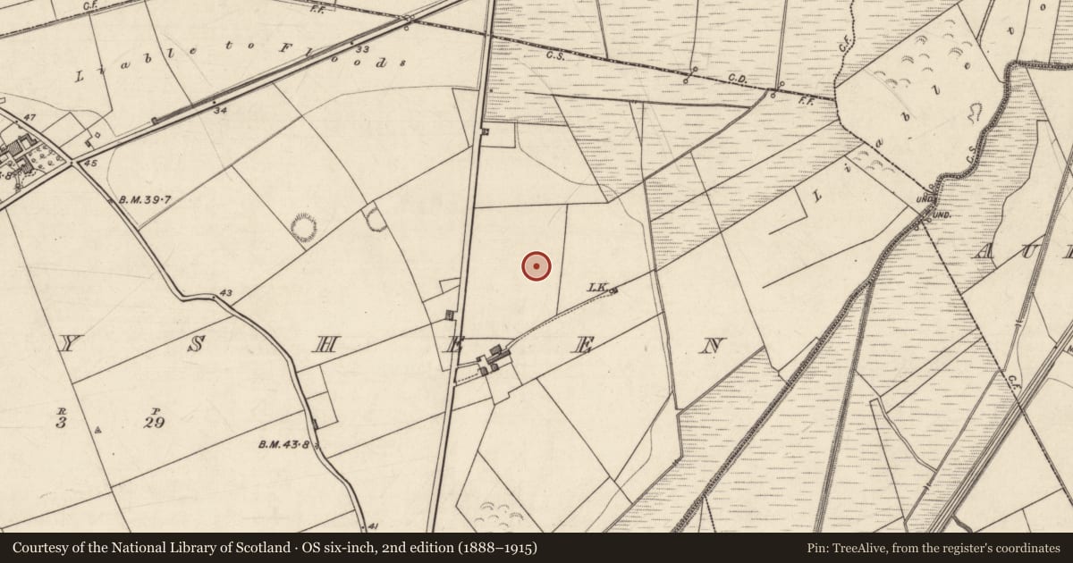 Ordnance Survey six-inch map, 2nd edition (1888–1915) covering the location of Enclosure, Ballysheen, County Kerry, with a pin at the register's coordinates