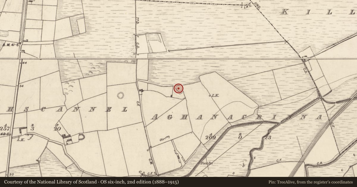 Ordnance Survey six-inch map, 2nd edition (1888–1915) covering the location of House - indeterminate date, Aghanacrinna, County Kerry, with a pin at the register's coordinates
