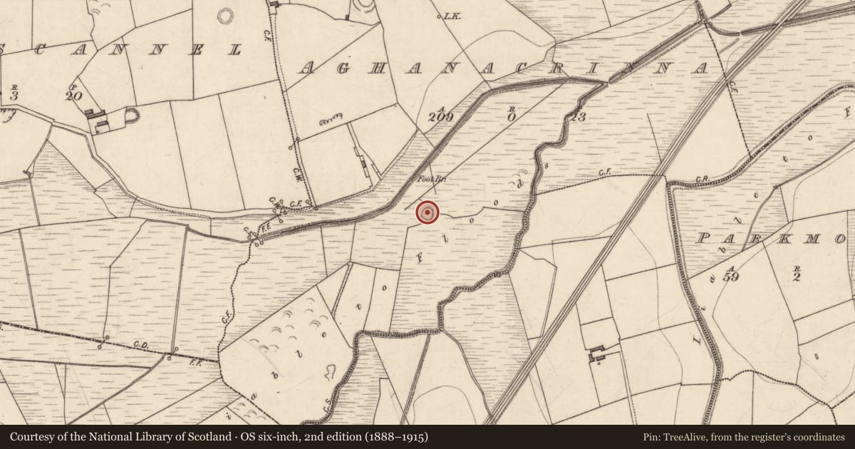 Ordnance Survey six-inch map, 2nd edition (1888–1915) covering the location of Ringfort - rath, Aghanacrinna, County Kerry, with a pin at the register's coordinates