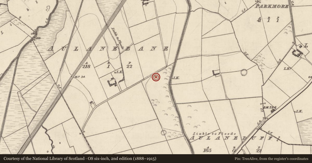 Ordnance Survey six-inch map, 2nd edition (1888–1915) covering the location of Mound, Aulanebane, County Kerry, with a pin at the register's coordinates