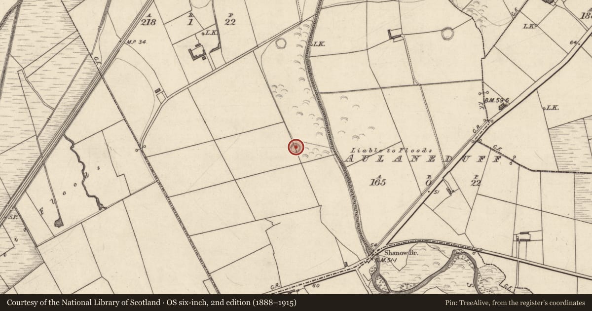 Ordnance Survey six-inch map, 2nd edition (1888–1915) covering the location of Ringfort - rath, Aulanebane, County Kerry, with a pin at the register's coordinates