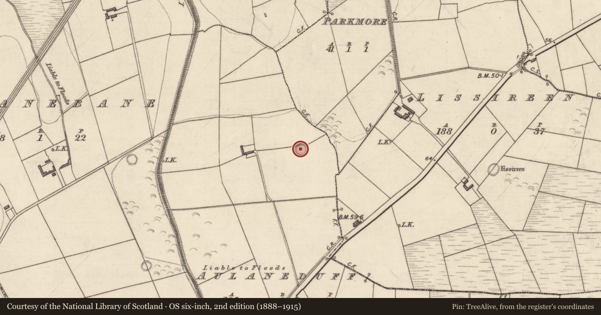 Ordnance Survey six-inch map, 2nd edition (1888–1915) covering the location of Ringfort - rath, Aulaneduff, County Kerry, with a pin at the register's coordinates