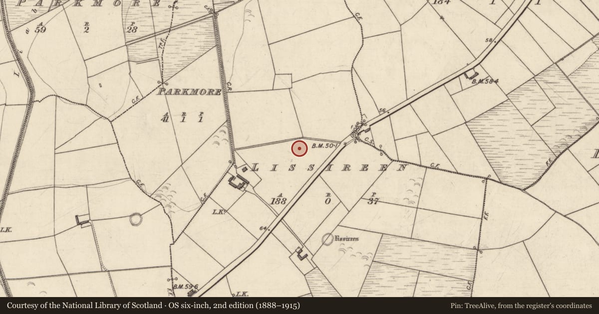 Ordnance Survey six-inch map, 2nd edition (1888–1915) covering the location of Ringfort - rath, Lissireen, County Kerry, with a pin at the register's coordinates
