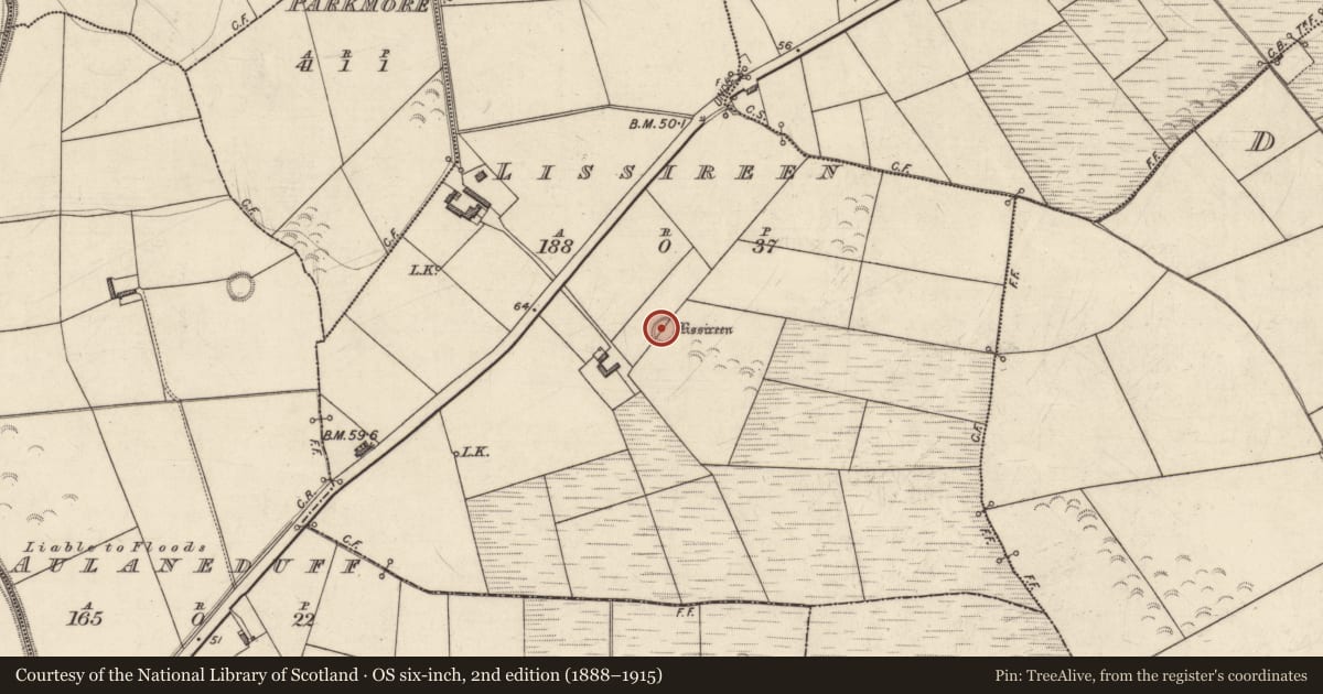 Ordnance Survey six-inch map, 2nd edition (1888–1915) covering the location of Ringfort - rath, Lissireen, County Kerry, with a pin at the register's coordinates