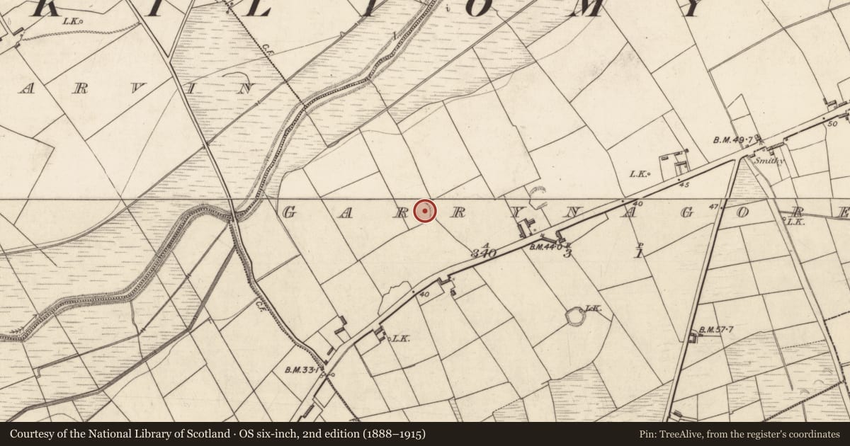 Ordnance Survey six-inch map, 2nd edition (1888–1915) covering the location of Enclosure, Garrynagore, County Kerry, with a pin at the register's coordinates