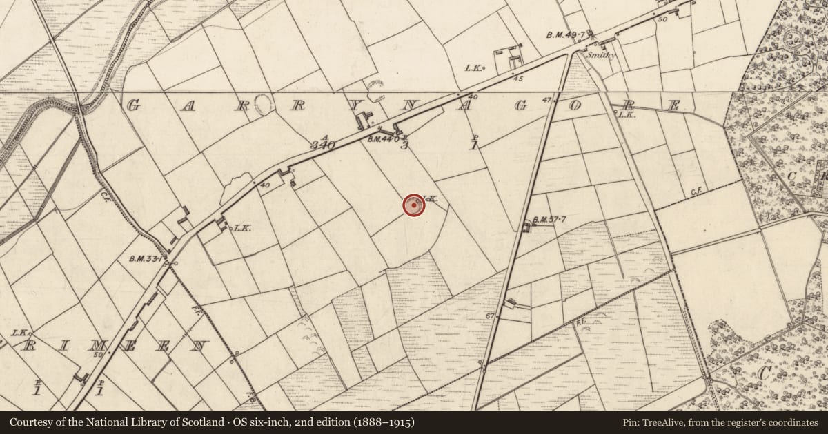 Ordnance Survey six-inch map, 2nd edition (1888–1915) covering the location of Ringfort - rath, Garrynagore, County Kerry, with a pin at the register's coordinates