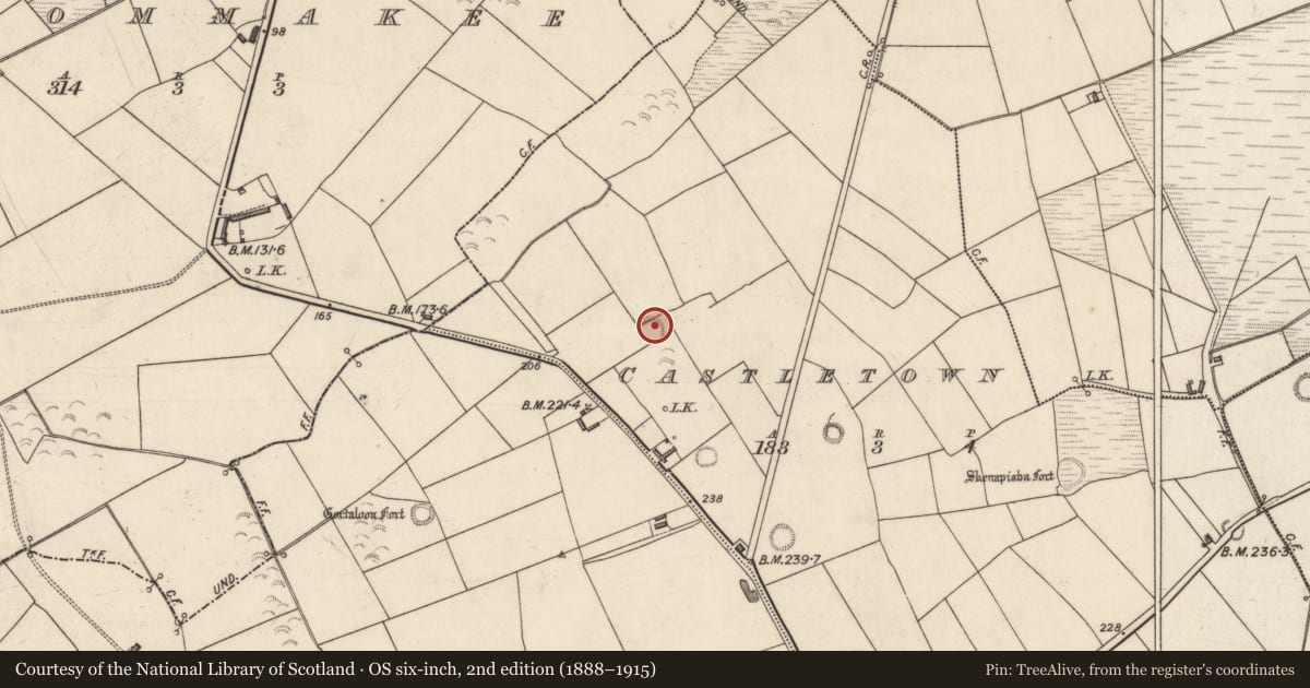 Ordnance Survey six-inch map, 2nd edition (1888–1915) covering the location of Ringfort - rath, Castletown, County Kerry, with a pin at the register's coordinates