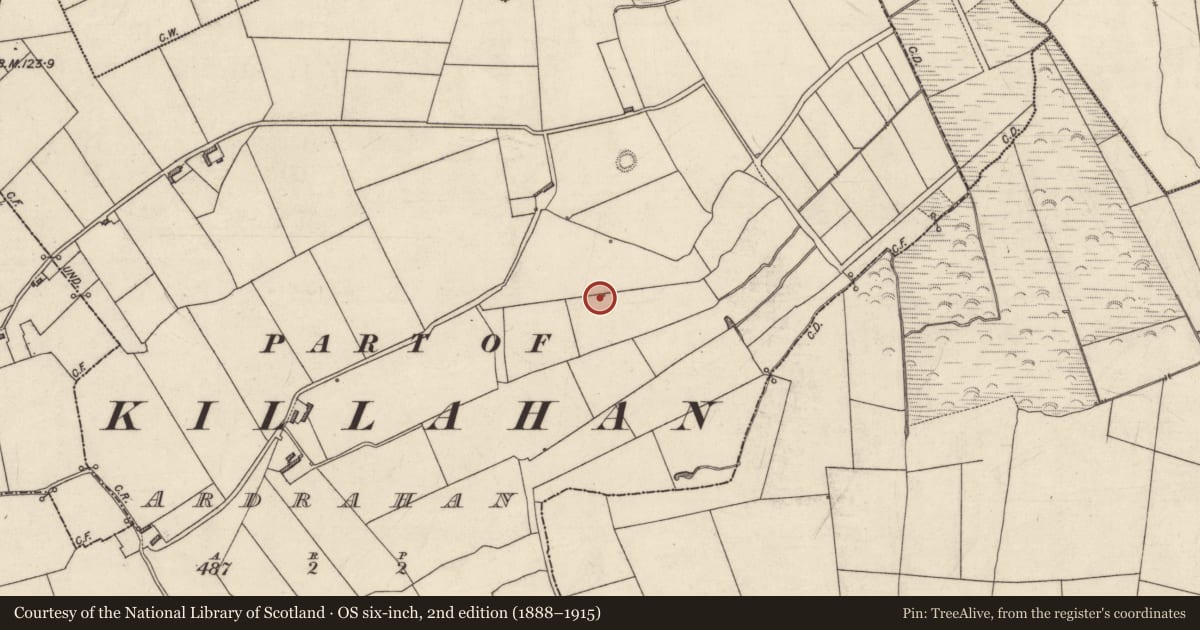 Ordnance Survey six-inch map, 2nd edition (1888–1915) covering the location of Fulacht fia, Ardrahan (Clanmaurice By., Killahan Par.), County Kerry, with a pin at the register's coordinates