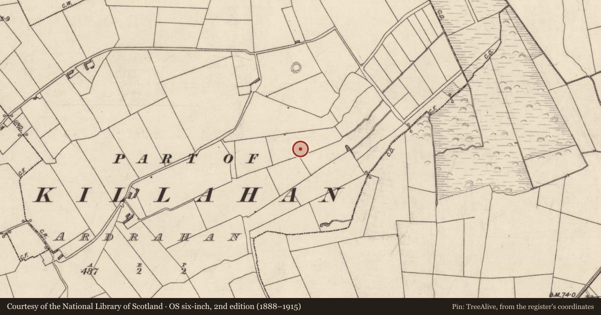 Ordnance Survey six-inch map, 2nd edition (1888–1915) covering the location of Fulacht fia, Ardrahan (Clanmaurice By., Killahan Par.), County Kerry, with a pin at the register's coordinates