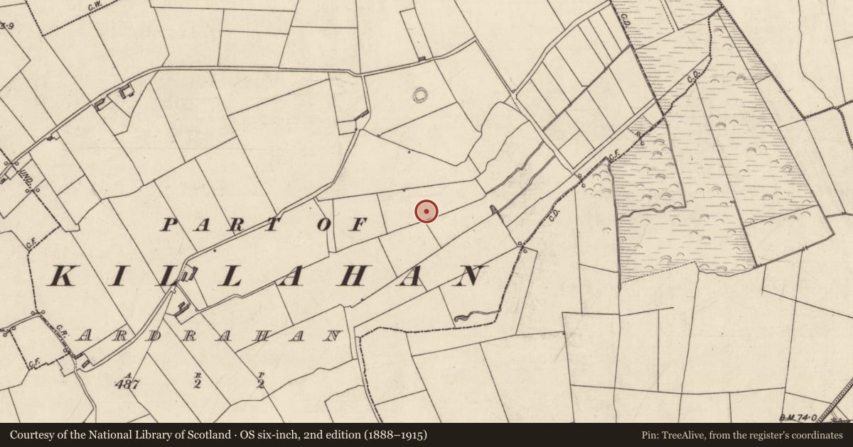 Ordnance Survey six-inch map, 2nd edition (1888–1915) covering the location of Fulacht fia, Ardrahan (Clanmaurice By., Killahan Par.), County Kerry, with a pin at the register's coordinates