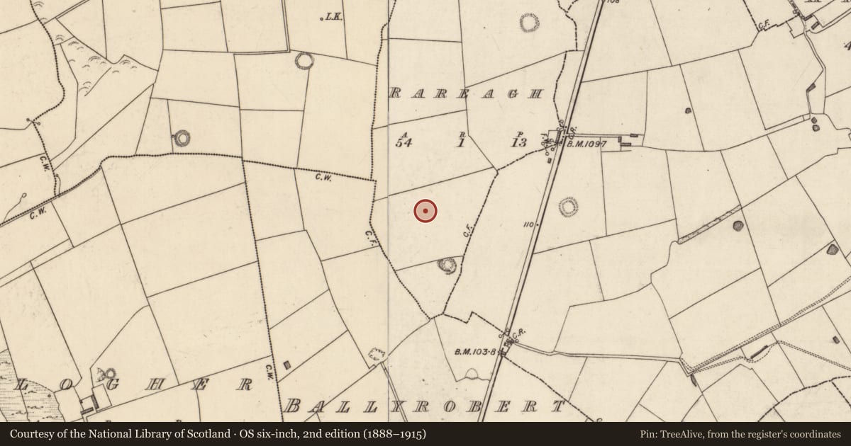 Ordnance Survey six-inch map, 2nd edition (1888–1915) covering the location of Enclosure, Rareagh, County Kerry, with a pin at the register's coordinates