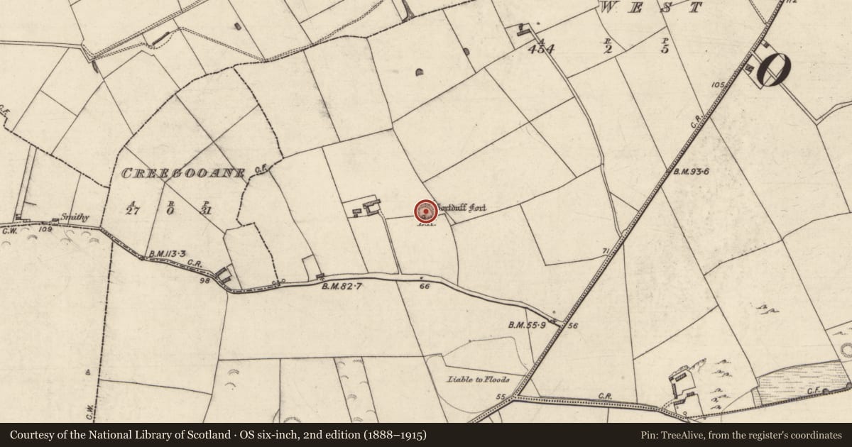 Ordnance Survey six-inch map, 2nd edition (1888–1915) covering the location of Ringfort - rath, Kilgulbin West, County Kerry, with a pin at the register's coordinates