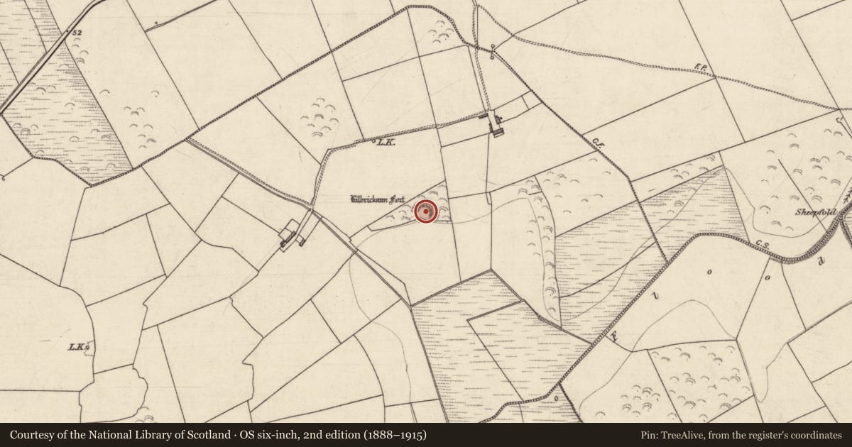 Ordnance Survey six-inch map, 2nd edition (1888–1915) covering the location of Barrow - ring-barrow, Kilgulbin East, County Kerry, with a pin at the register's coordinates