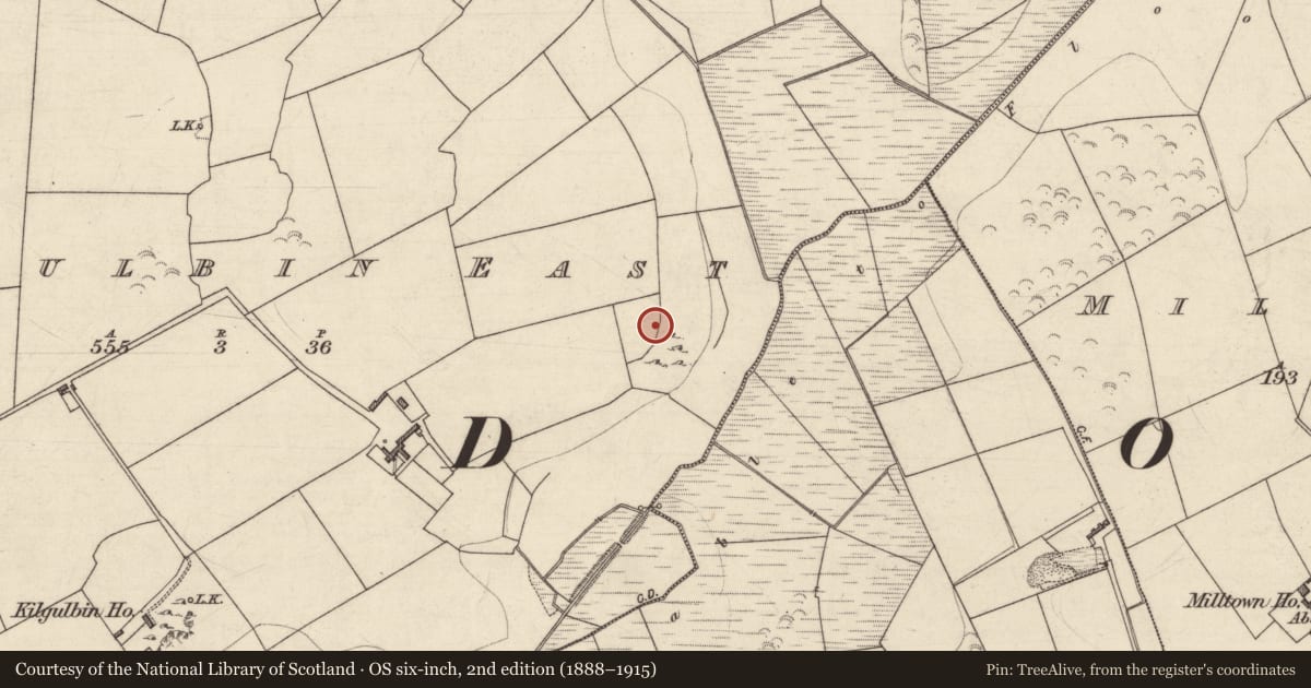 Ordnance Survey six-inch map, 2nd edition (1888–1915) covering the location of Ecclesiastical enclosure, Kilgulbin East, County Kerry, with a pin at the register's coordinates