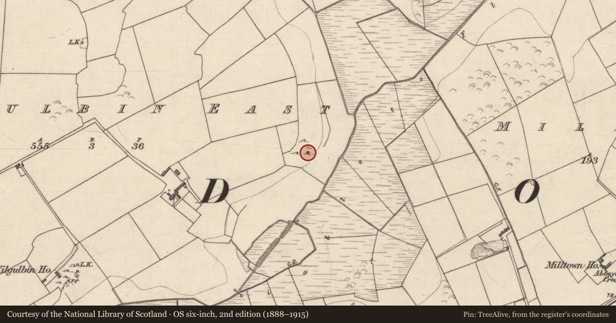 Ordnance Survey six-inch map, 2nd edition (1888–1915) covering the location of Enclosure, Kilgulbin East, County Kerry, with a pin at the register's coordinates
