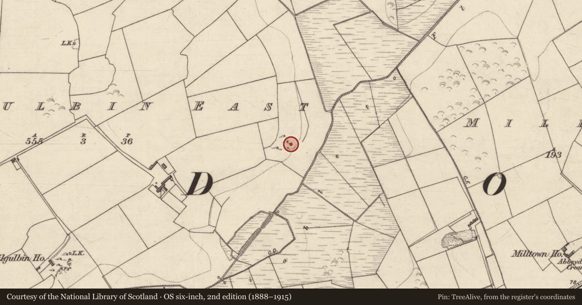 Ordnance Survey six-inch map, 2nd edition (1888–1915) covering the location of Church, Kilgulbin East, County Kerry, with a pin at the register's coordinates