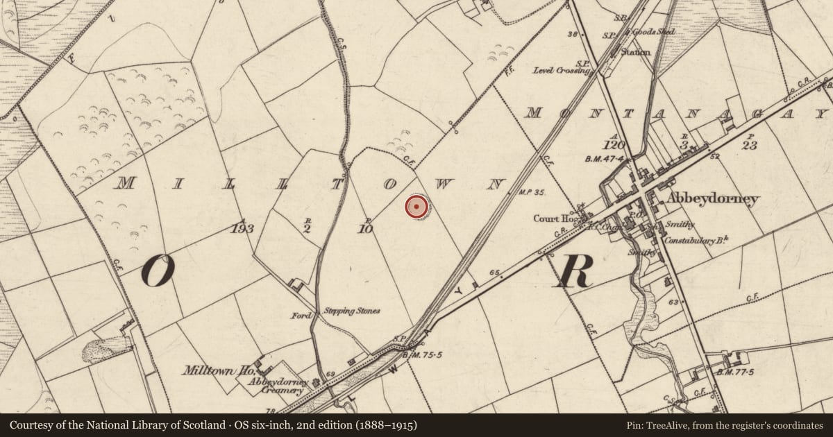 Ordnance Survey six-inch map, 2nd edition (1888–1915) covering the location of Enclosure, Milltown, County Kerry, with a pin at the register's coordinates