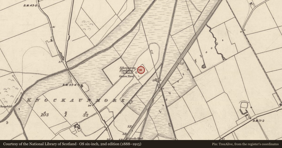 Ordnance Survey six-inch map, 2nd edition (1888–1915) covering the location of Exhibitionist figure, Knockaunmore, County Kerry, with a pin at the register's coordinates