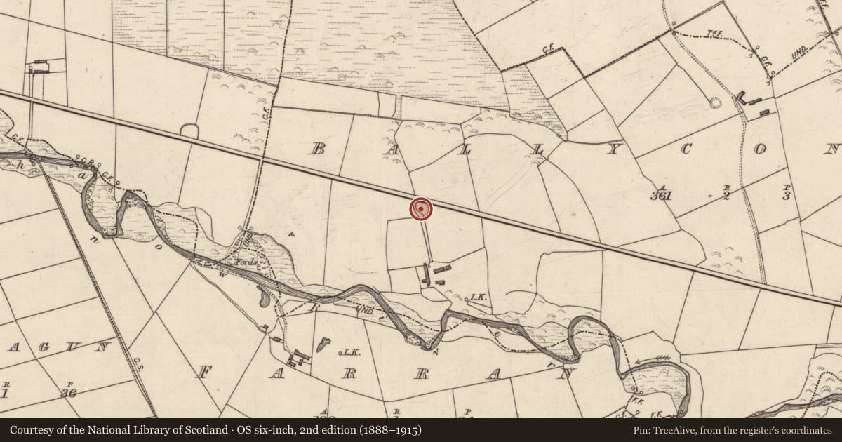 Ordnance Survey six-inch map, 2nd edition (1888–1915) covering the location of Souterrain, Ballyconnell, County Kerry, with a pin at the register's coordinates