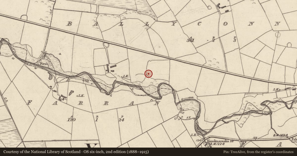 Ordnance Survey six-inch map, 2nd edition (1888–1915) covering the location of Ringfort - rath, Ballyconnell, County Kerry, with a pin at the register's coordinates