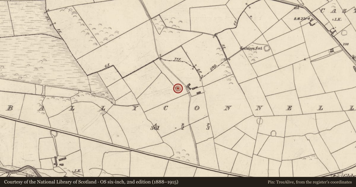 Ordnance Survey six-inch map, 2nd edition (1888–1915) covering the location of Ringfort - rath, Ballyconnell, County Kerry, with a pin at the register's coordinates