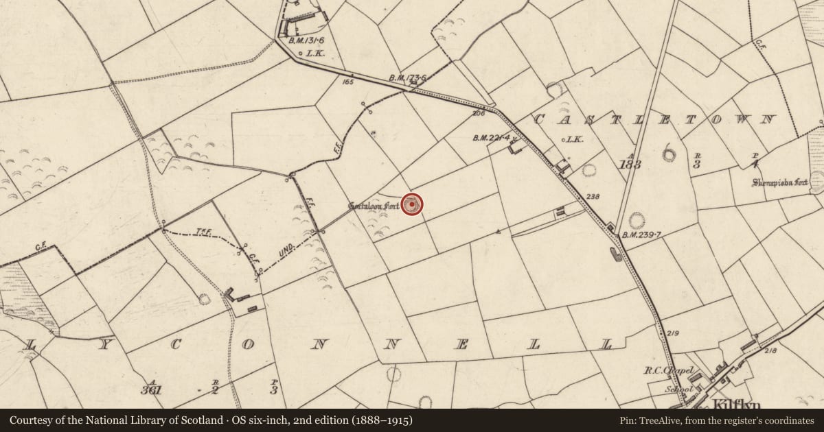 Ordnance Survey six-inch map, 2nd edition (1888–1915) covering the location of Ringfort - rath, Ballyconnell, County Kerry, with a pin at the register's coordinates