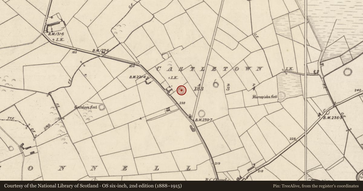 Ordnance Survey six-inch map, 2nd edition (1888–1915) covering the location of Ringfort - rath, Castletown, County Kerry, with a pin at the register's coordinates