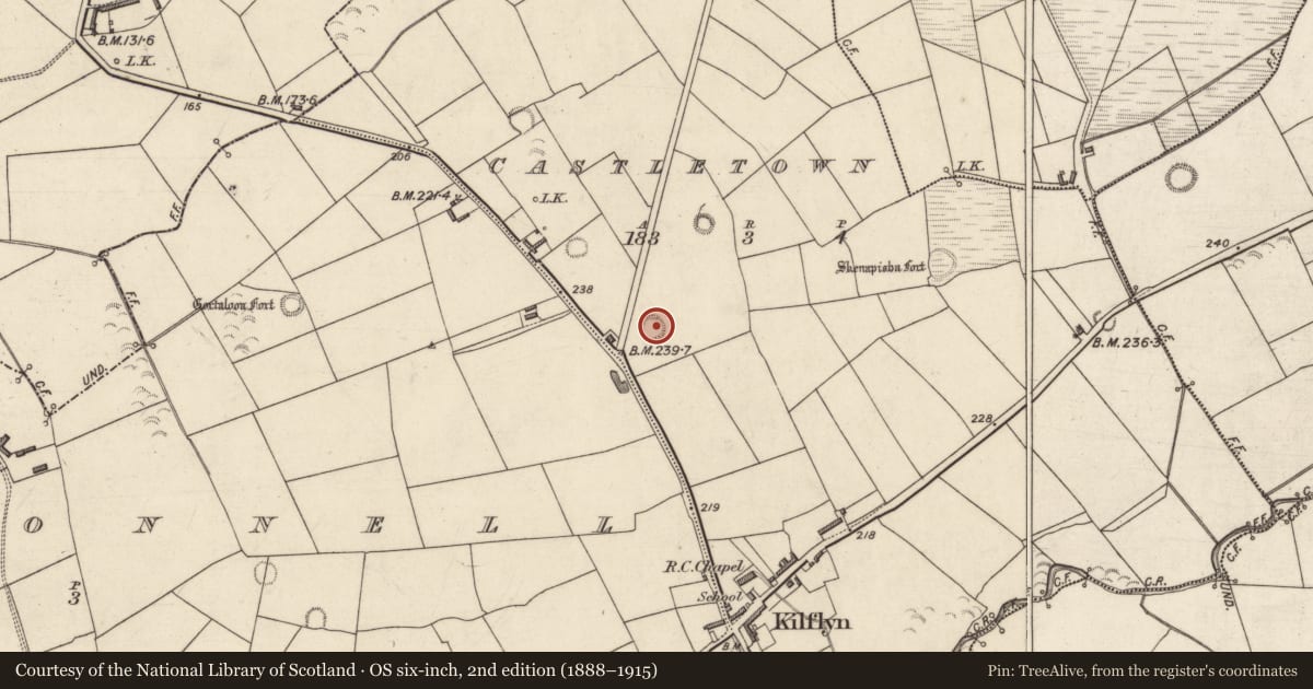 Ordnance Survey six-inch map, 2nd edition (1888–1915) covering the location of Ringfort - rath, Castletown, County Kerry, with a pin at the register's coordinates