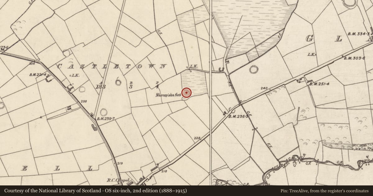 Ordnance Survey six-inch map, 2nd edition (1888–1915) covering the location of Ringfort - rath, Castletown, County Kerry, with a pin at the register's coordinates