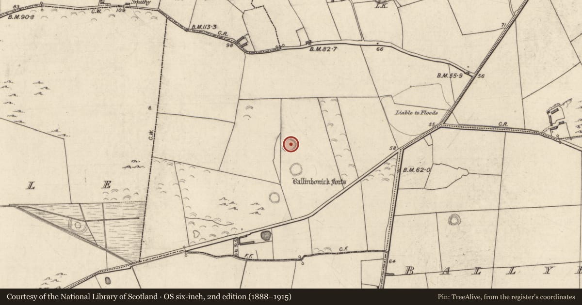 Ordnance Survey six-inch map, 2nd edition (1888–1915) covering the location of Enclosure, Kilgulbin West, County Kerry, with a pin at the register's coordinates