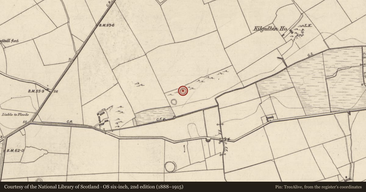 Ordnance Survey six-inch map, 2nd edition (1888–1915) covering the location of Enclosure, Kilgulbin East, County Kerry, with a pin at the register's coordinates