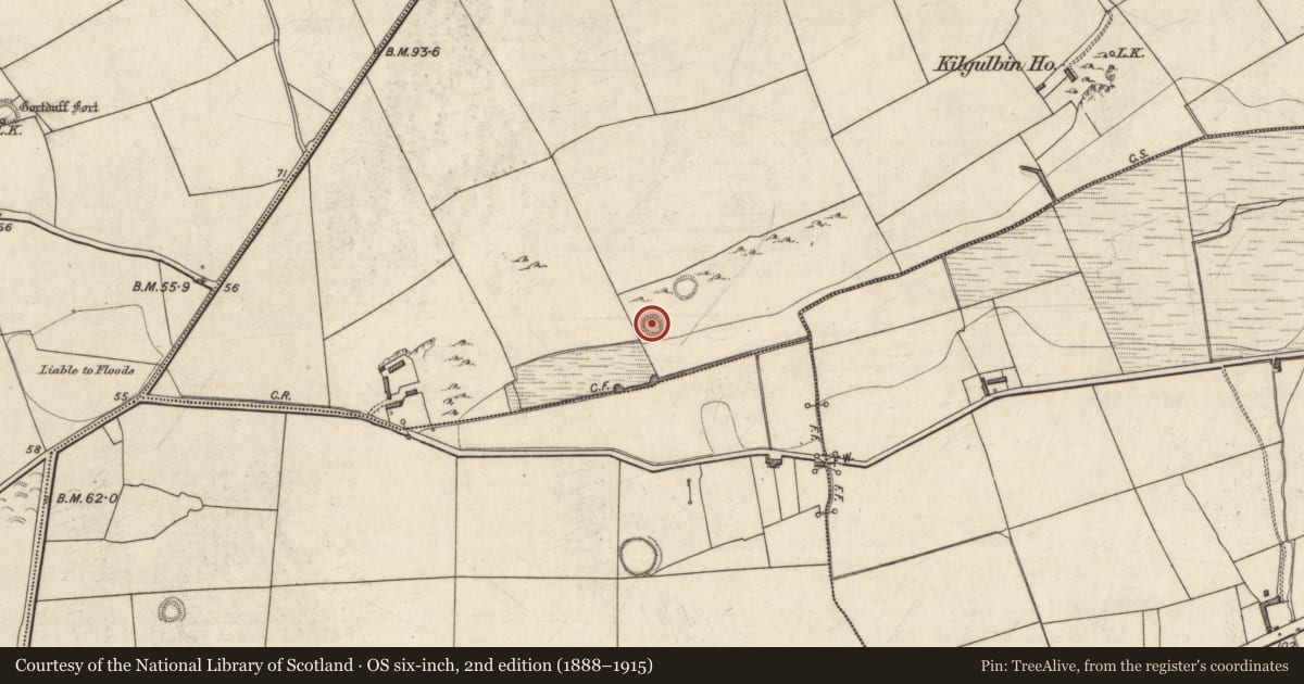 Ordnance Survey six-inch map, 2nd edition (1888–1915) covering the location of Enclosure, Kilgulbin East, County Kerry, with a pin at the register's coordinates