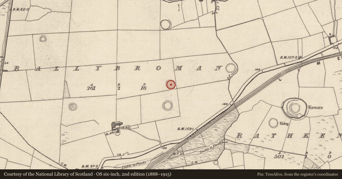 Ordnance Survey six-inch map, 2nd edition (1888–1915) covering the location of Ringfort - rath, Ballybroman, County Kerry, with a pin at the register's coordinates