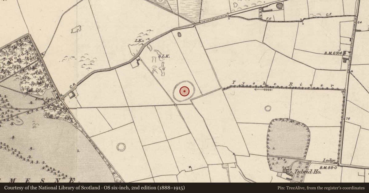 Ordnance Survey six-inch map, 2nd edition (1888–1915) covering the location of Enclosure, Tubrid More, County Kerry, with a pin at the register's coordinates
