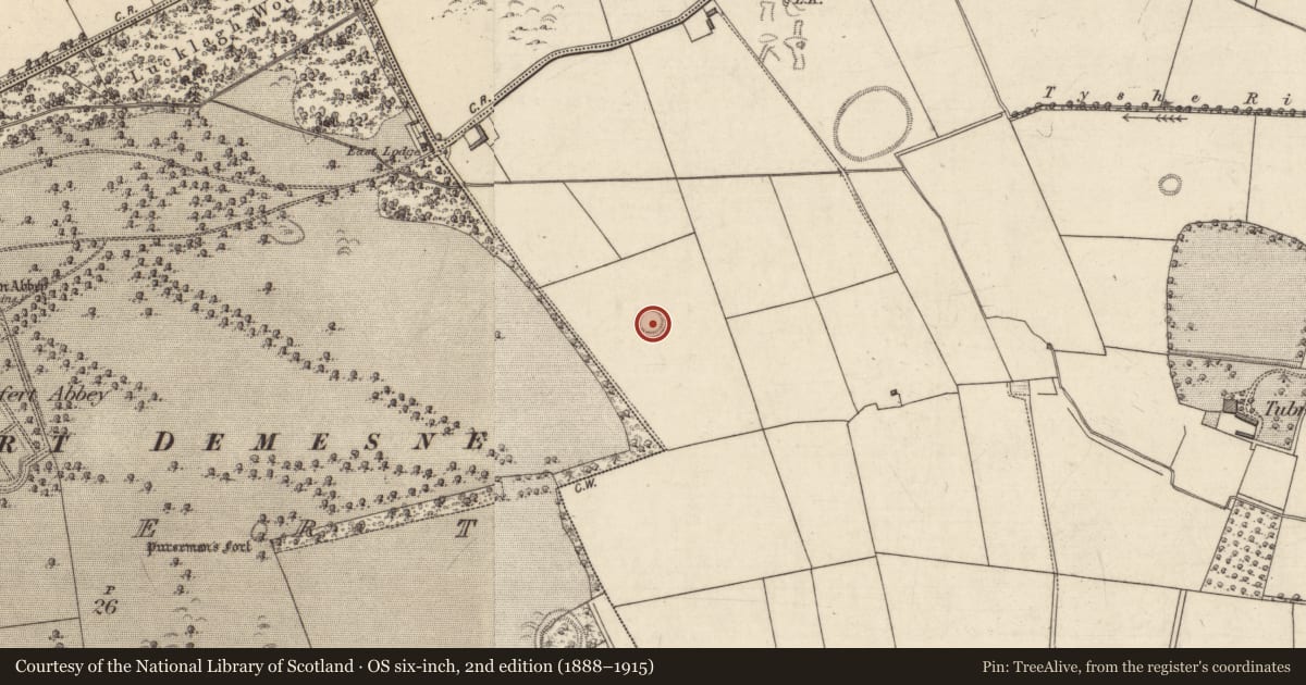 Ordnance Survey six-inch map, 2nd edition (1888–1915) covering the location of Ringfort - rath, Tubrid More, County Kerry, with a pin at the register's coordinates