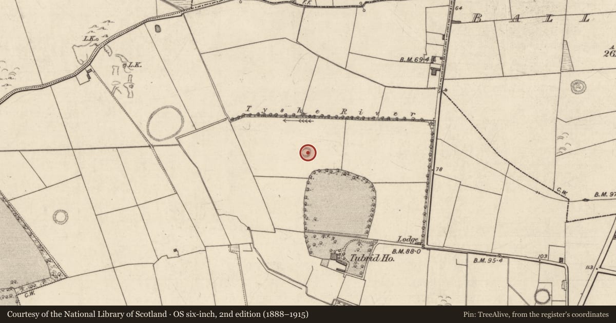 Ordnance Survey six-inch map, 2nd edition (1888–1915) covering the location of Ringfort - rath, Tubrid More, County Kerry, with a pin at the register's coordinates